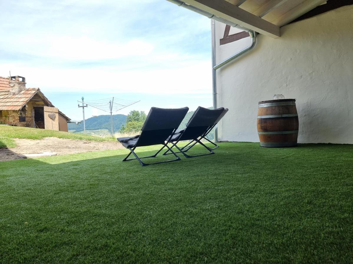 Haus Am Berg Mit Wellnessbereich, Bar Und Panorama Villa Bühlertal Eksteriør bilde