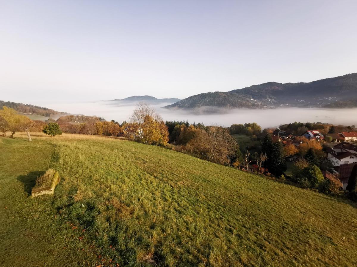 Haus Am Berg Mit Wellnessbereich, Bar Und Panorama Villa Bühlertal Eksteriør bilde
