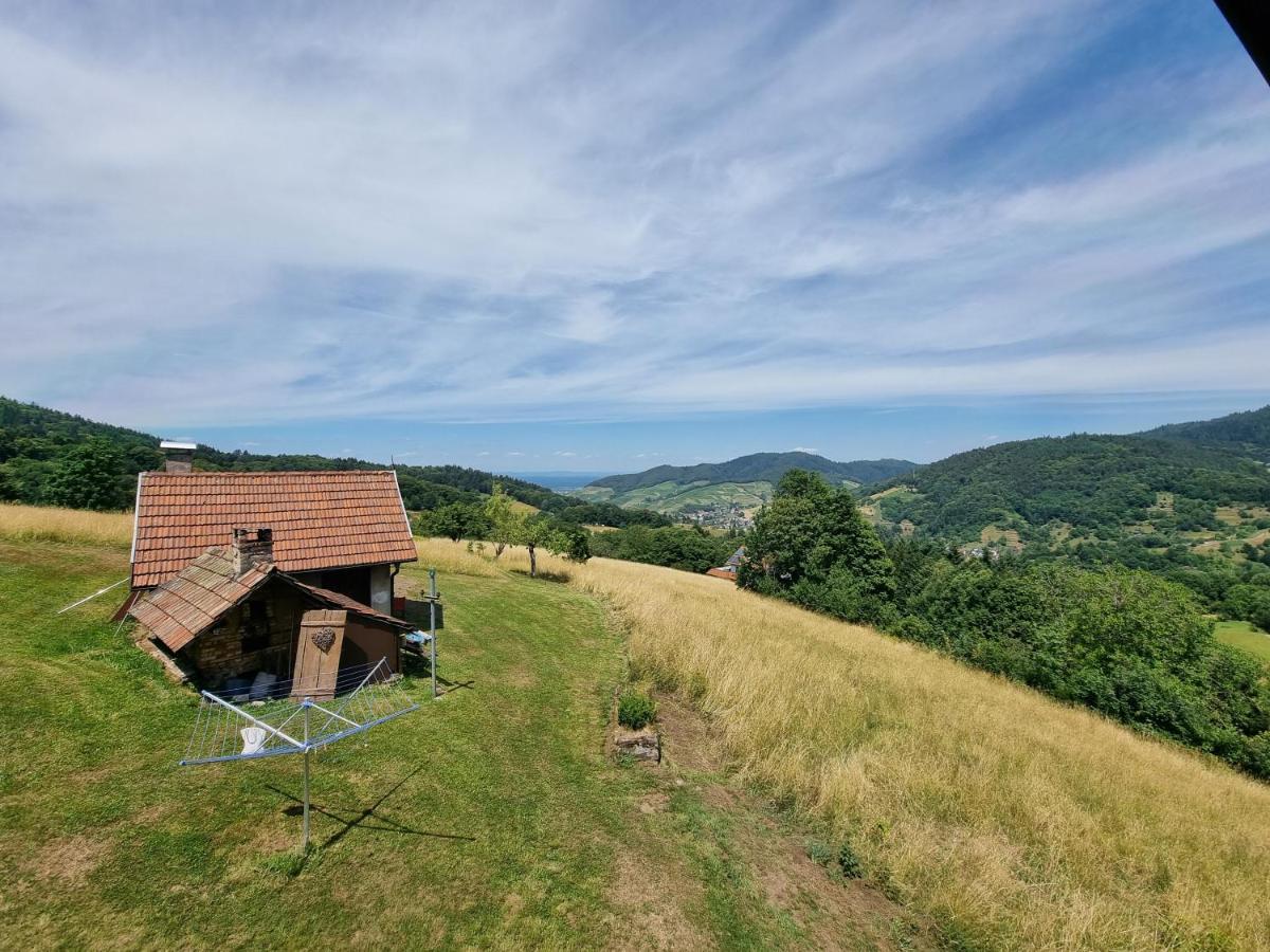 Haus Am Berg Mit Wellnessbereich, Bar Und Panorama Villa Bühlertal Eksteriør bilde