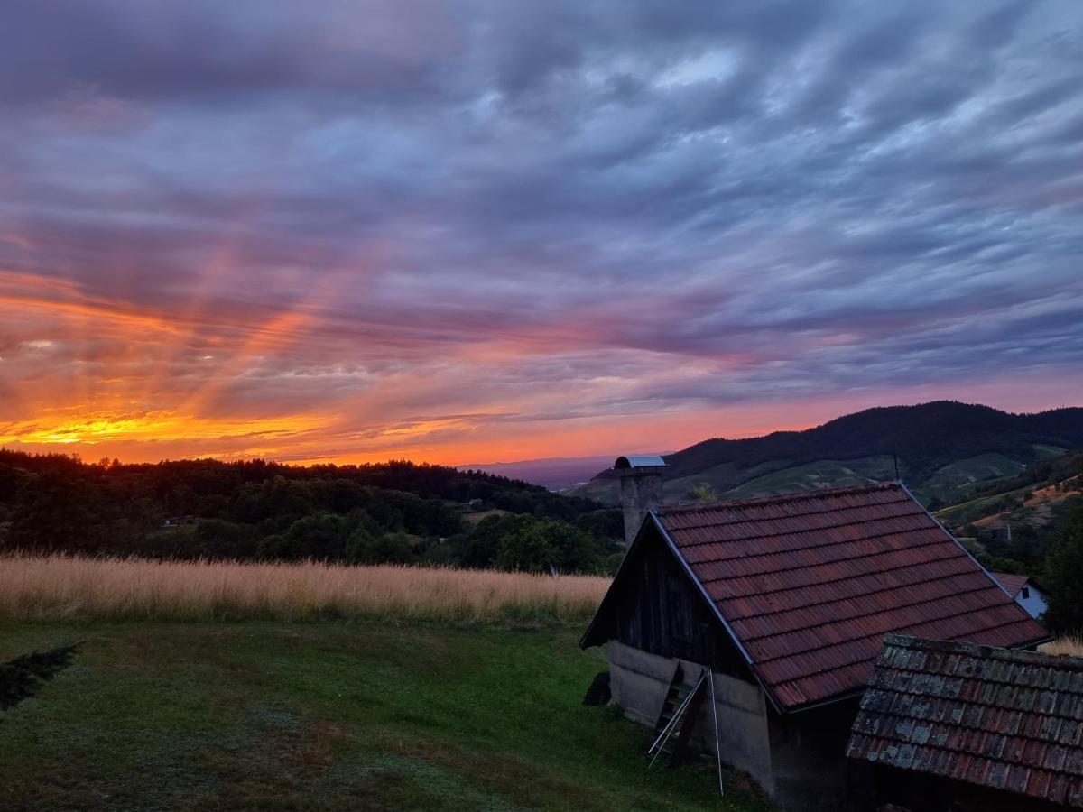 Haus Am Berg Mit Wellnessbereich, Bar Und Panorama Villa Bühlertal Eksteriør bilde