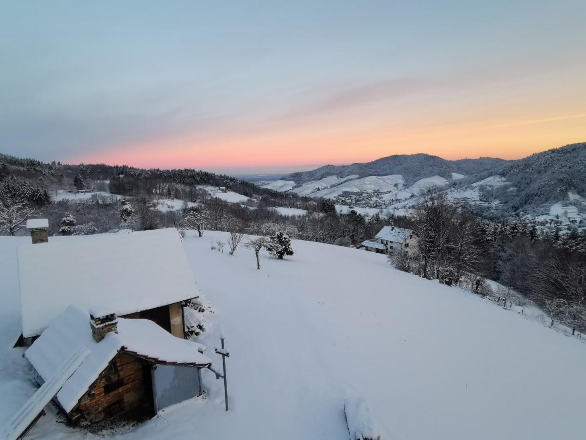 Haus Am Berg Mit Wellnessbereich, Bar Und Panorama Villa Bühlertal Eksteriør bilde
